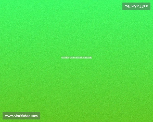 首发盛典揭幕 亮点纷呈 借力创新科技引领行业新风潮